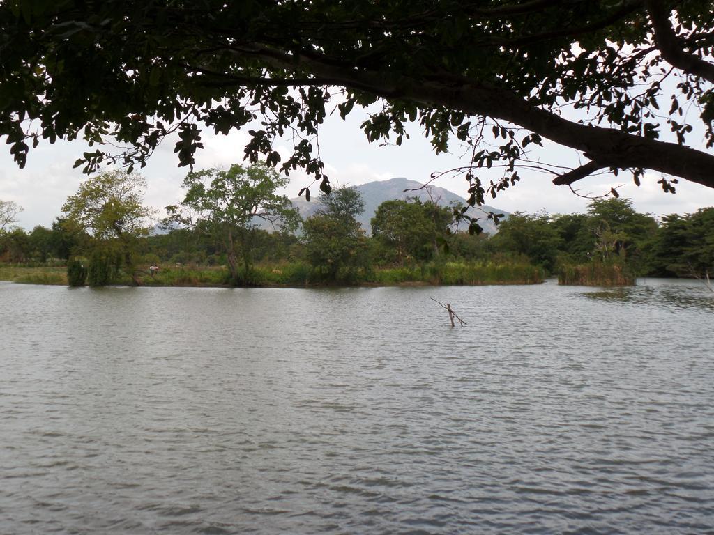 Mps Village Dambulla Exterior foto